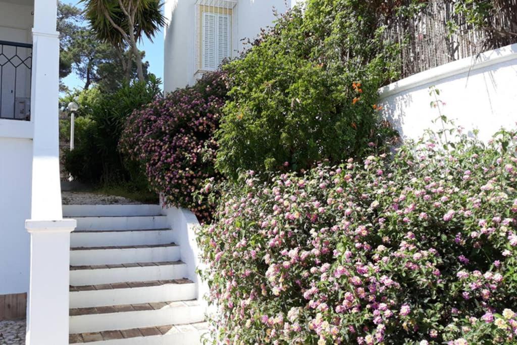 Casa Do Limoeiro Daire Lagos Dış mekan fotoğraf